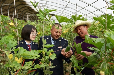 戈壁灘上“菜園子”直通“菜籃子”，水產(chǎn)養(yǎng)殖助力現(xiàn)代農(nóng)業(yè)展宏圖